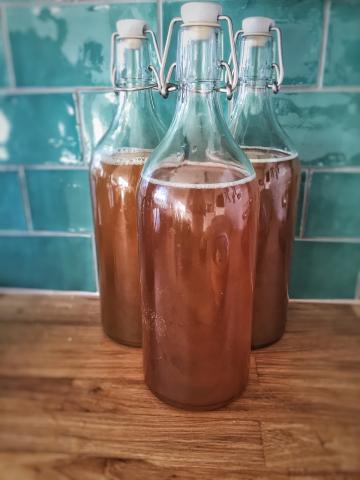 Image of kombucha in glass bottles.