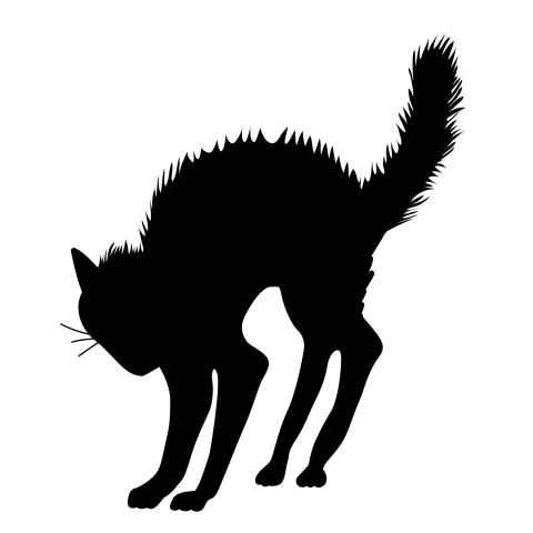 The Brie, The Bullet, & the Black Cat