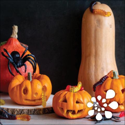 Carved Pumpkins, fake spider props, and gummy worms.
