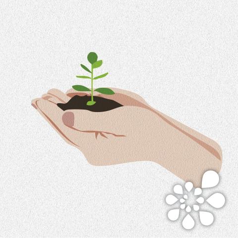 A pair of hands cupped together, holding a small mound of dirt with a small green plant sprouting out of the dirt.