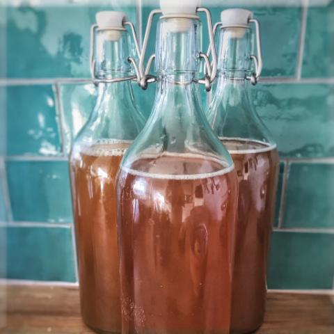 Three bottles of kombucha.