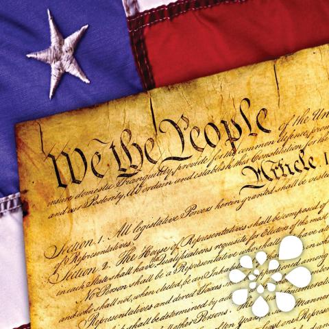 Snippet of American Flag and text from the United States Constitution.