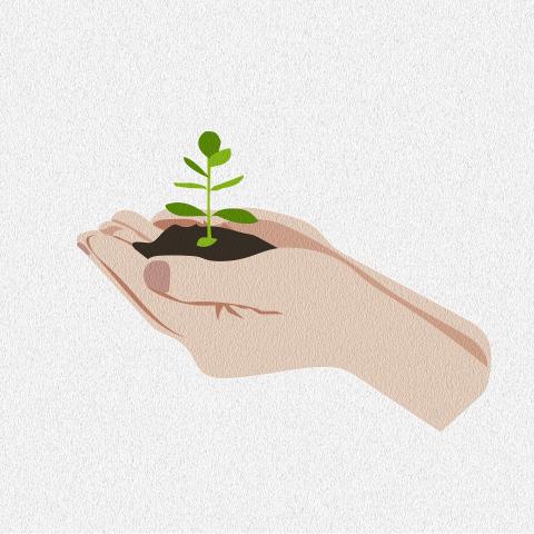 Illustration of a hand holding a plant in dirt