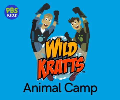 Wild Kratts Animal Camp