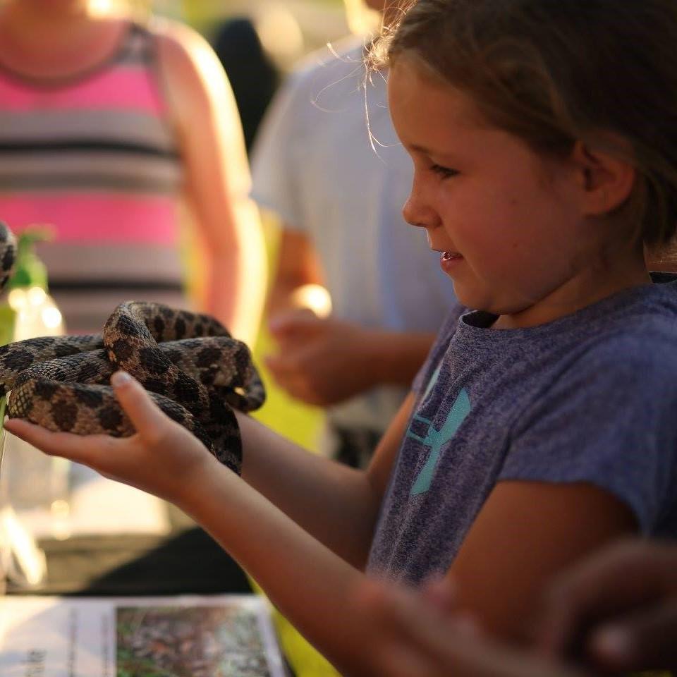 Girl holding a snake