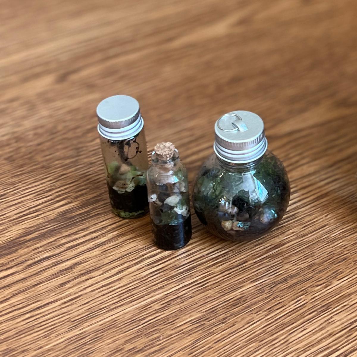 Three small jars made into terrariums