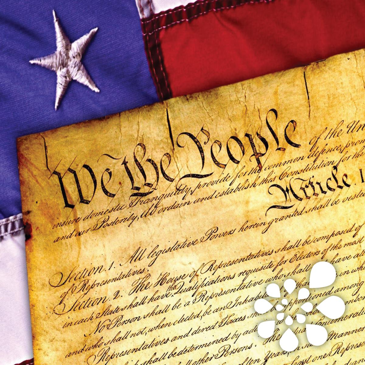 Snippet of American Flag and text from the United States Constitution.